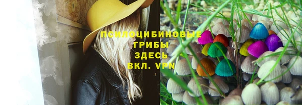 гашик Кукмор