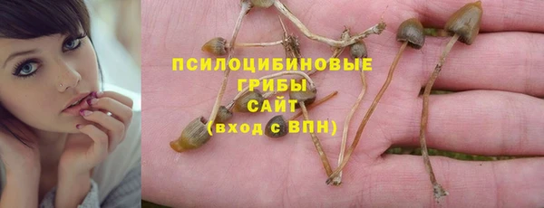 гашик Кукмор