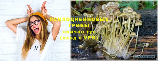 бошки Куйбышев