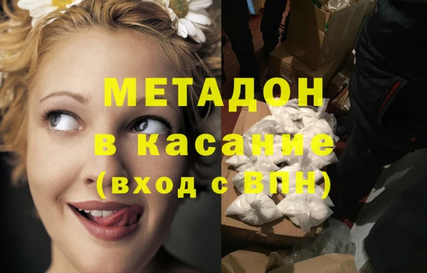 шишки Болотное
