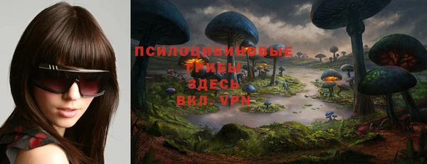бутират Лагань