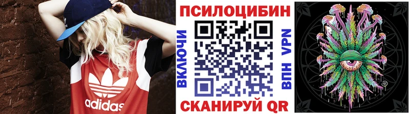 Псилоцибиновые грибы Psilocybine cubensis что такое наркотик Куровское